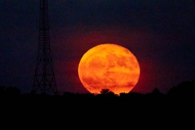 До гения вам как до Луны, если не отвечаете на 6 вопросов про космос - ТЕСТ Дмитрий Осипчук, ИА PrimaMedia.ru