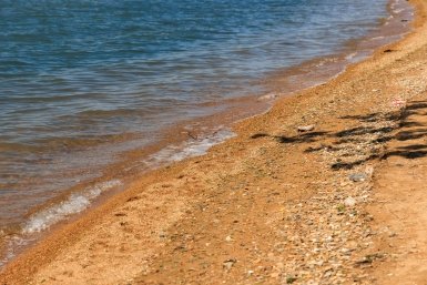 Власти Австралии закрывают пляжи из-за нападения акул Евгений  Кулешов, ИА PrimaMedia.ru