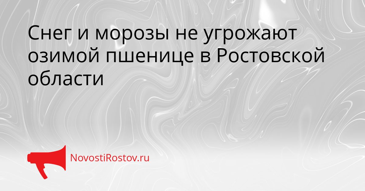 Снег и морозы не угрожают озимой пшенице в Ростовской области Сгенерировано