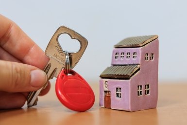 &quotСхема Долиной&quot ушла в аренду Яна Гайдук, ИА PrimaMedia