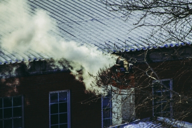 Садоводам напомнили о важных февральских работах для защиты сада Юлия Ушакова, ИА IrkutskMedia