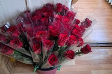 Цветы, розы Ольга Костенко, ИА UssurMedia