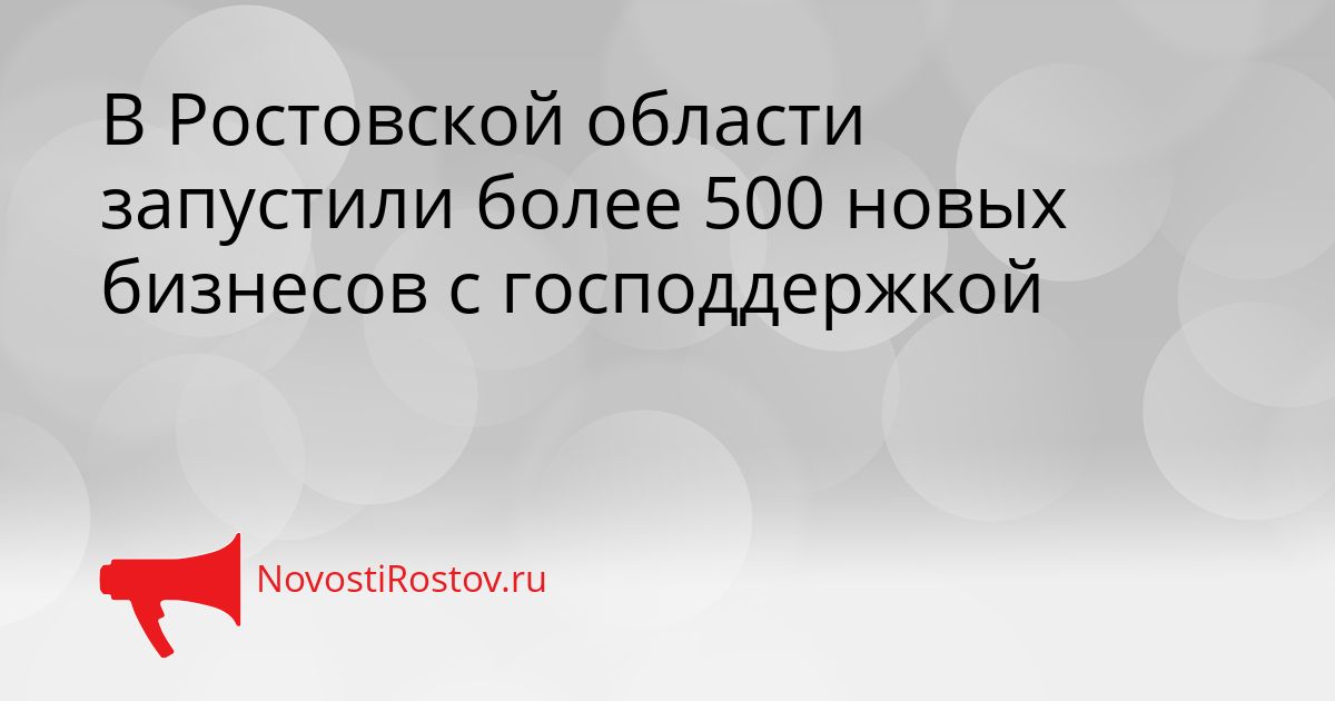 В Ростовской области запустили более 500 новых бизнесов с господдержкой Сгенерировано