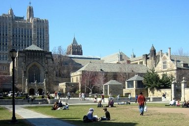 Йельский университет Ragesoss, Википедия