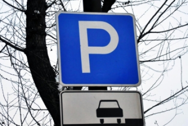 В России могут изменить правила парковки для многодетных Мария Оленникова, ИА IrkutskMedia