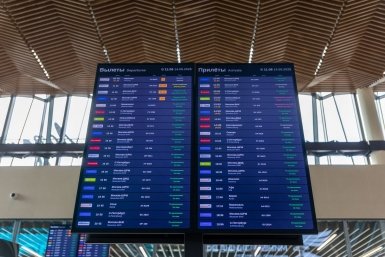 Дебоширов начнут ловить в аэропортах до посадки на рейс Артём Хорошилов  , ИА Stavropol.Media