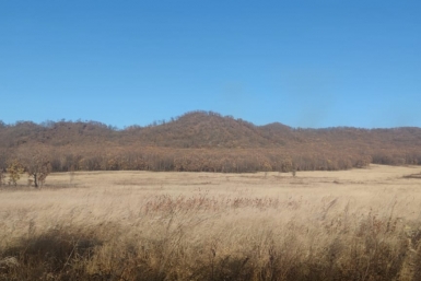 земельный участок Марина  Померанцева , ИА EAOMedia