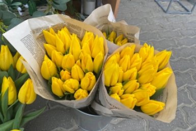 В Роскачестве дали советы по выбору цветов к 8 Марта Артём Хорошилов  , ИА Stavropol.Media