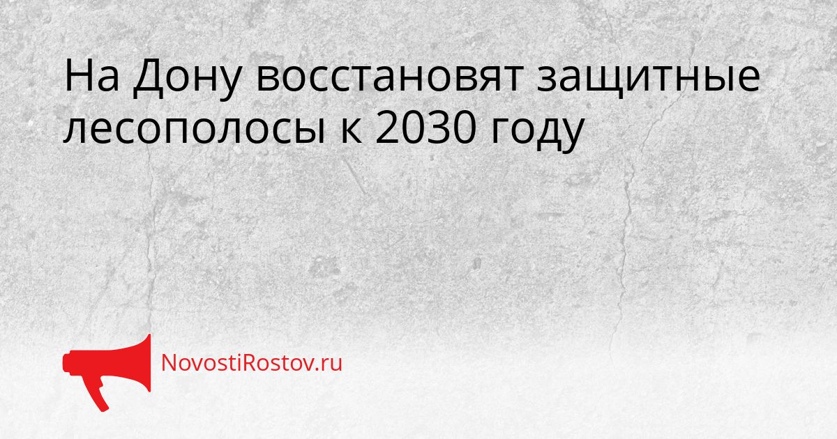 На Дону восстановят защитные лесополосы к 2030 году Сгенерировано