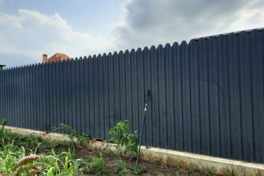 Забор Виктория Процкая, ИА PrimaMedia