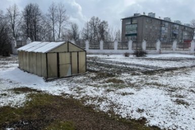 Огород и теплица Артем Дубенчук