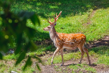 Заповедник Мария Смитюк, ИА PrimaMedia