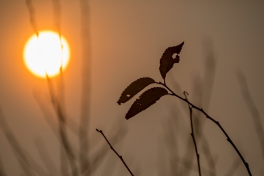 Температурные аномалии накроют широты, где находится большая часть России Александр Ратников, ИА PrimaMedia