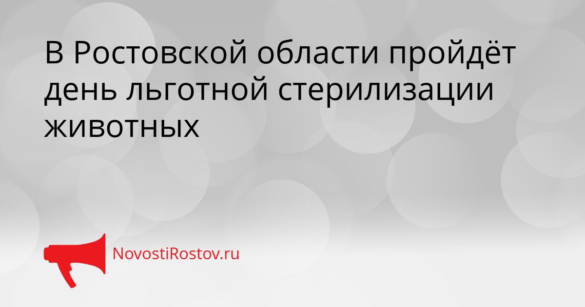 В Ростовской области пройдёт день льготной стерилизации животных Сгенерировано