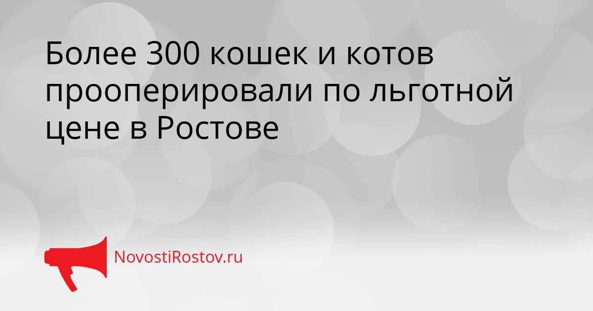 Более 300 кошек и котов прооперировали по льготной цене в Ростове Сгенерировано