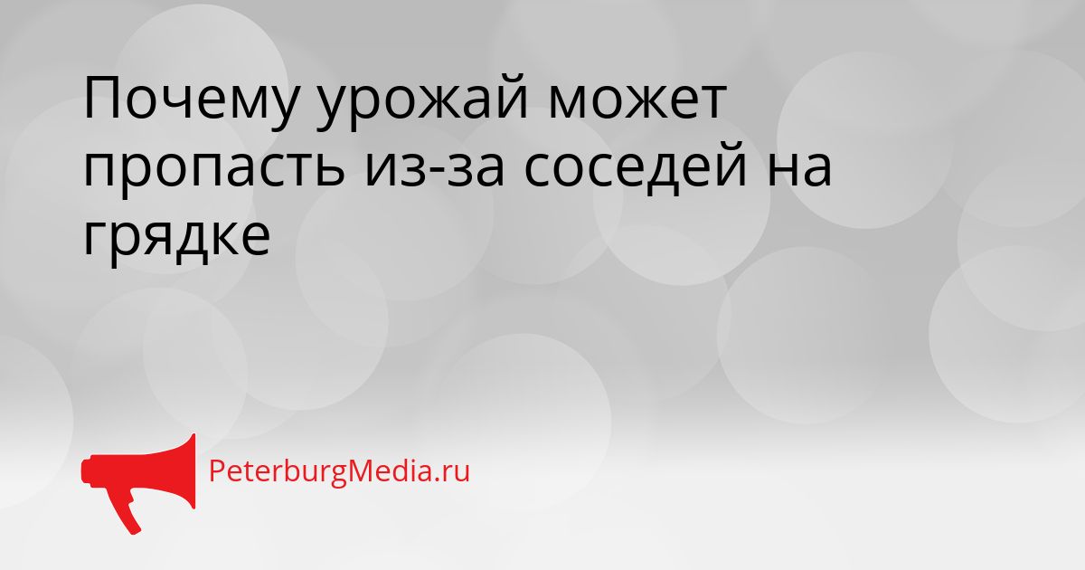 Почему урожай может пропасть из-за соседей на грядке