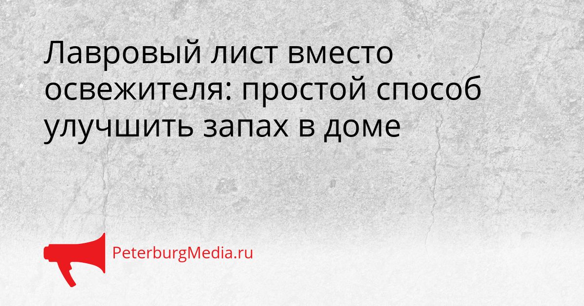 Лавровый лист вместо освежителя: простой способ улучшить запах в доме