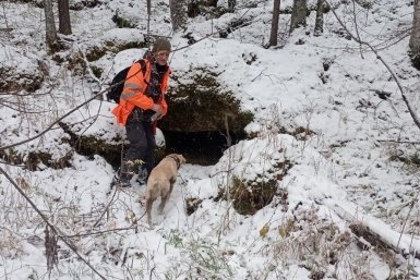 Поиски семьи Усольцевых &quotЛиза Алерт&quot