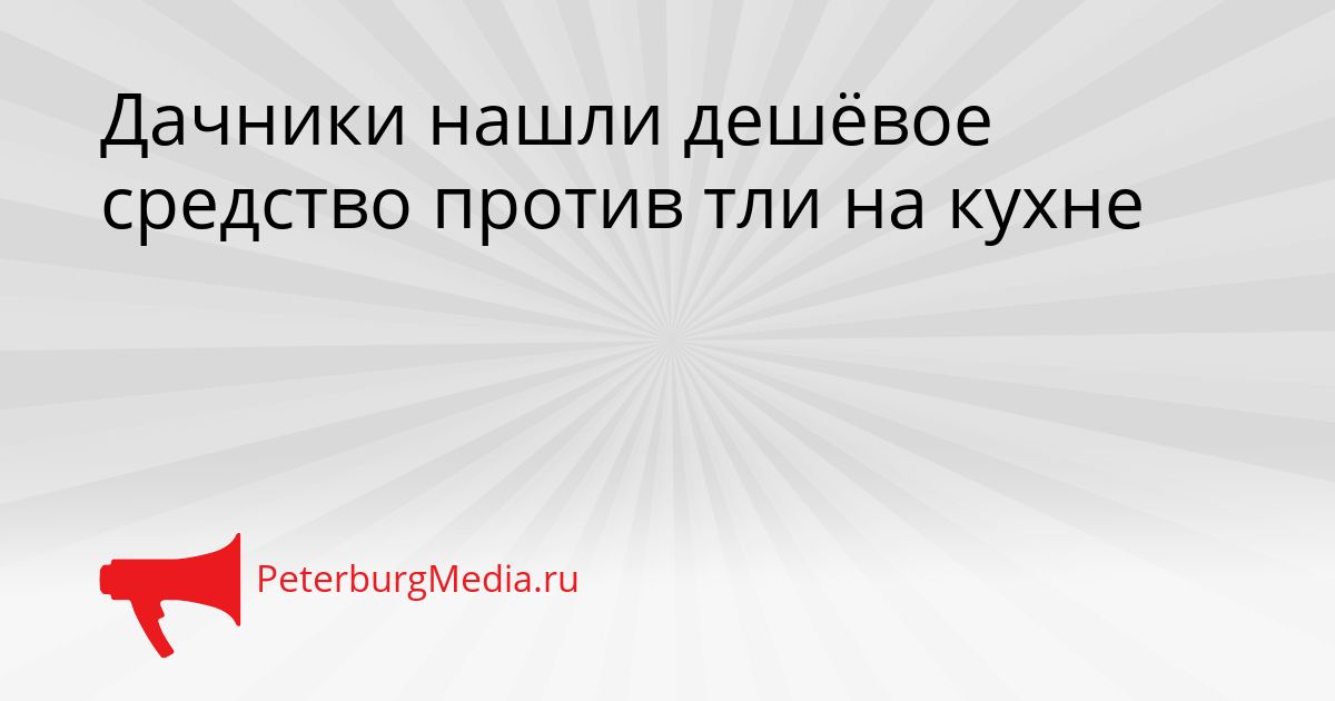 Дачники нашли дешёвое средство против тли на кухне