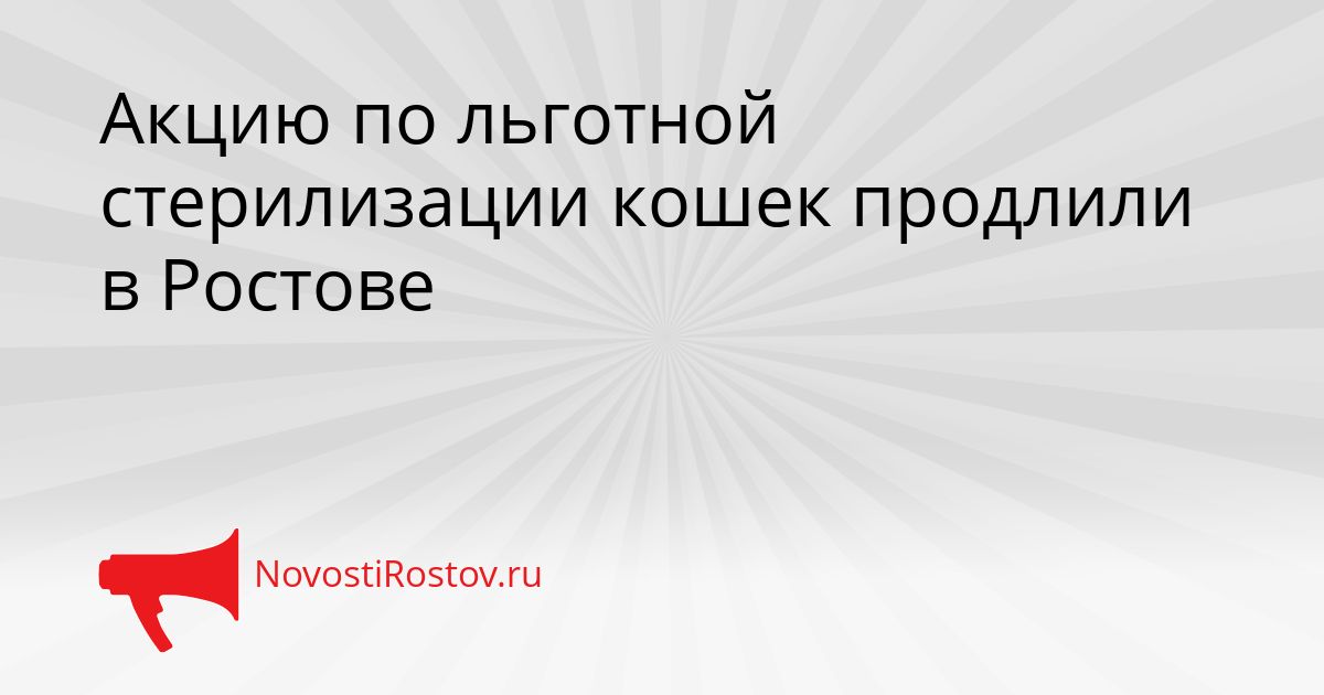 Акцию по льготной стерилизации кошек продлили в Ростове Сгенерировано