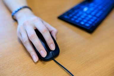 мышь, компьютер, клавиатура Евгений  Кулешов, ИА PrimaMedia.ru