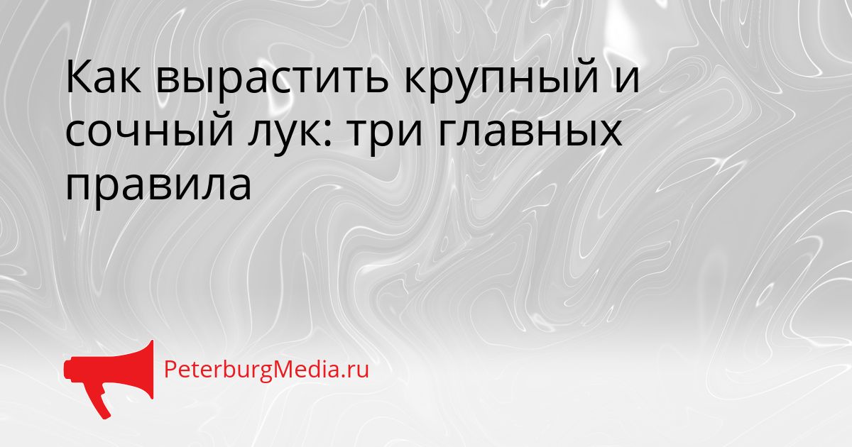 Как вырастить крупный и сочный лук: три главных правила