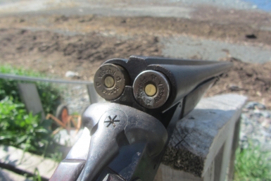 Охотники Ставрополья должны отчитаться о добыче волков и шакалов - минприроды