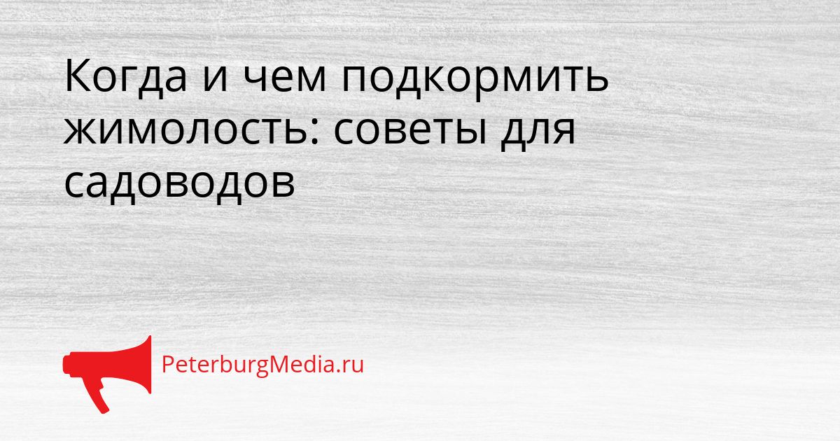 Когда и чем подкормить жимолость: советы для садоводов