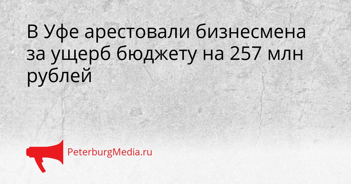 В Уфе арестовали бизнесмена за ущерб бюджету на 257 млн рублей