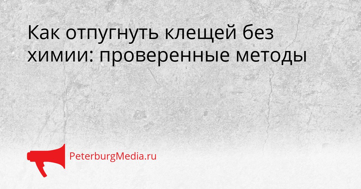 Как отпугнуть клещей без химии: проверенные методы