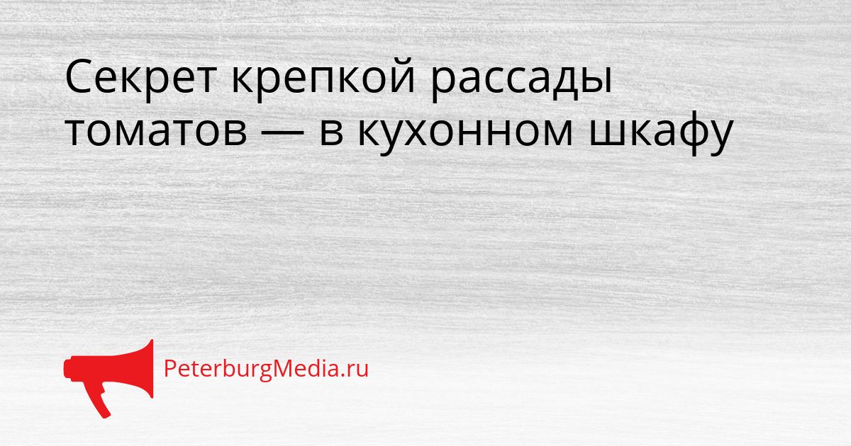 Секрет крепкой рассады томатов — в кухонном шкафу