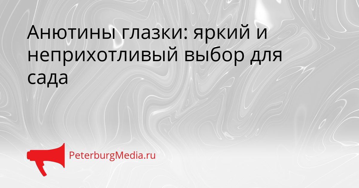 Анютины глазки: яркий и неприхотливый выбор для сада