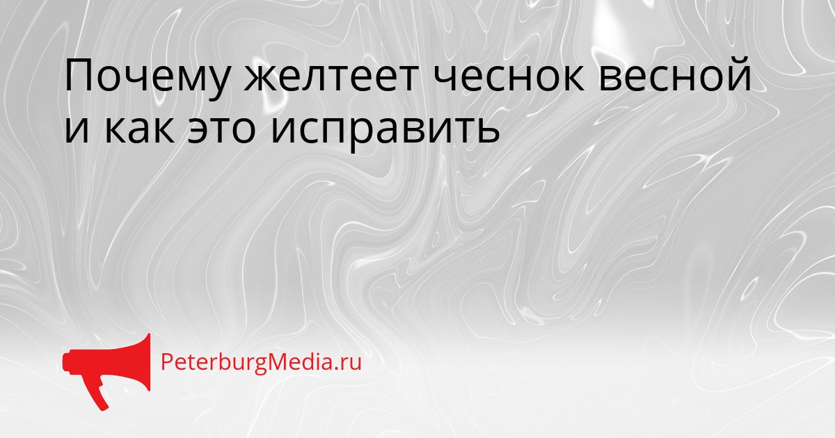Почему желтеет чеснок весной и как это исправить