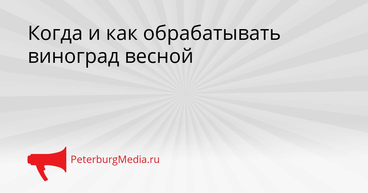 Когда и как обрабатывать виноград весной