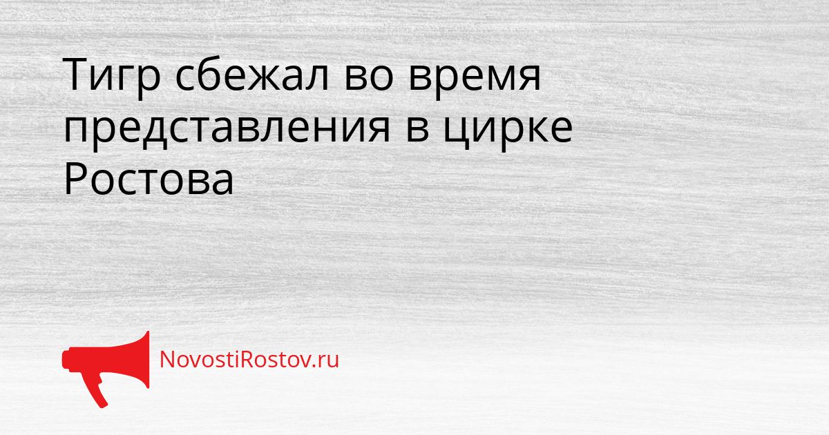 Тигр сбежал во время представления в цирке Ростова Сгенерировано