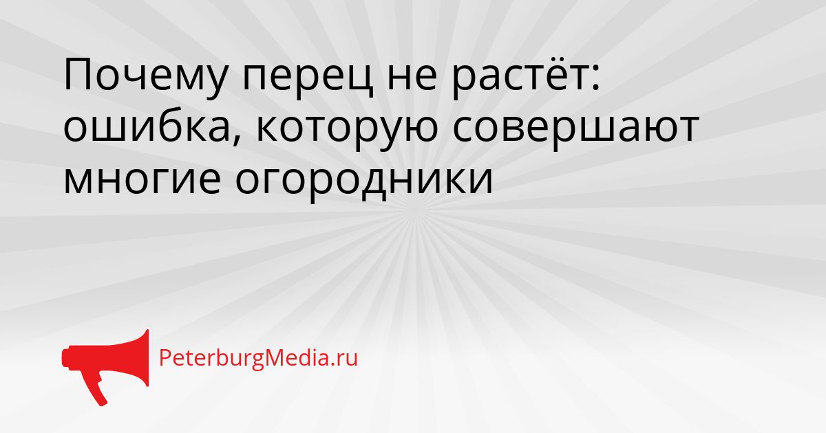 Почему перец не растёт: ошибка, которую совершают многие огородники