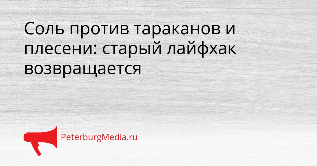 Соль против тараканов и плесени: старый лайфхак возвращается