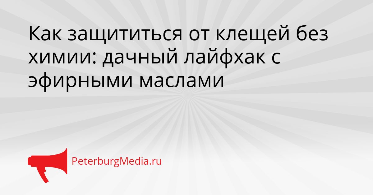Как защититься от клещей без химии: дачный лайфхак с эфирными маслами