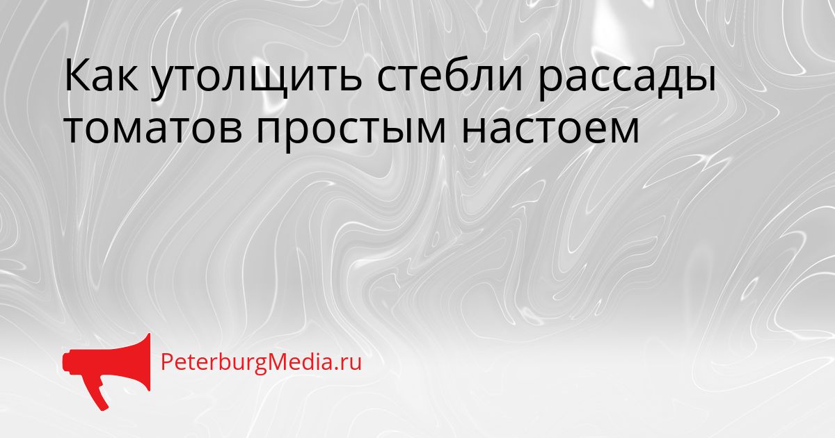 Как утолщить стебли рассады томатов простым настоем
