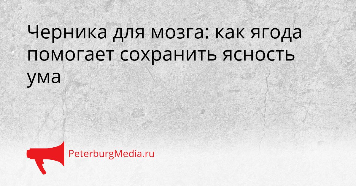 Черника для мозга: как ягода помогает сохранить ясность ума