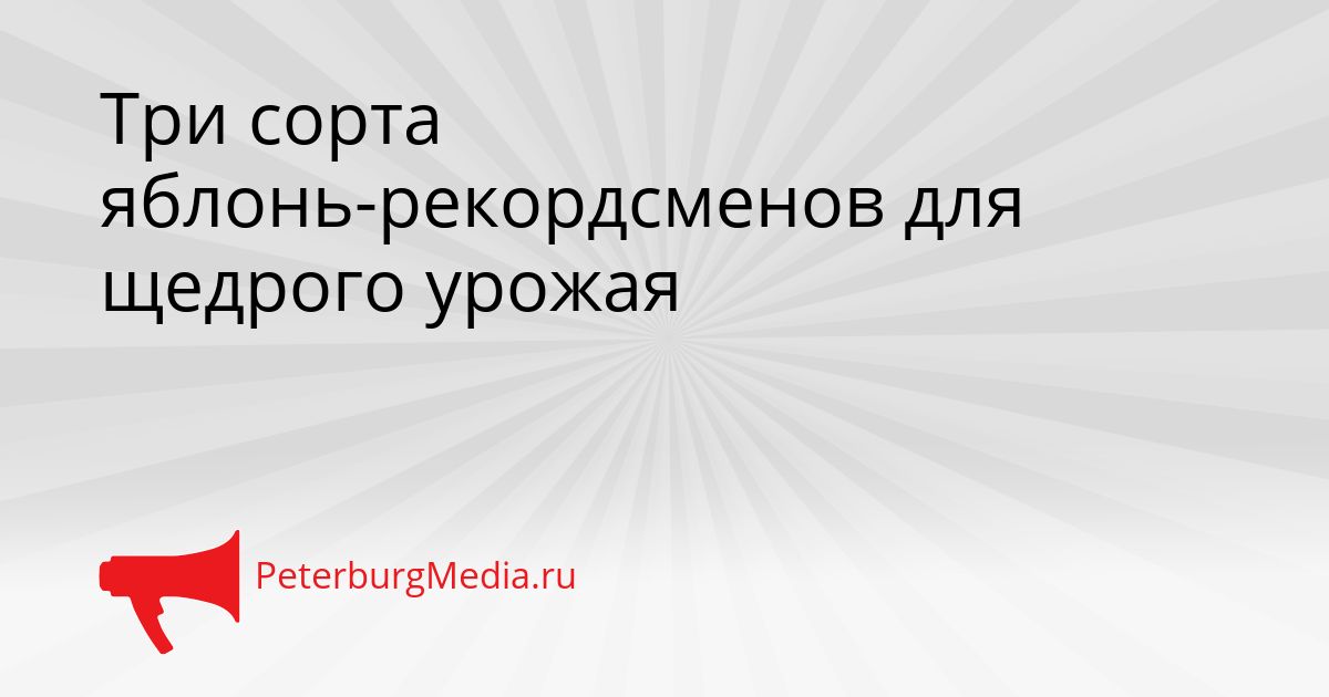 Три сорта яблонь-рекордсменов для щедрого урожая
