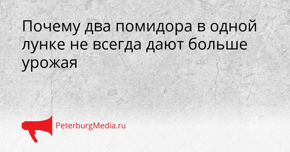 Почему два помидора в одной лунке не всегда дают больше урожая