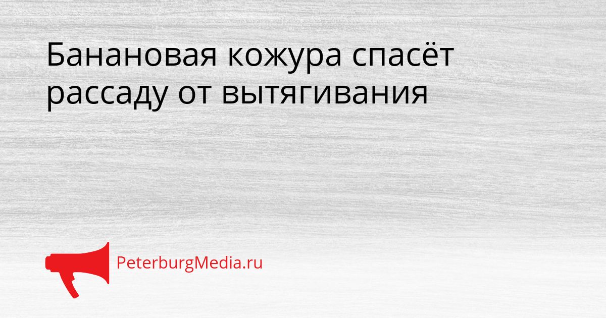 Банановая кожура спасёт рассаду от вытягивания