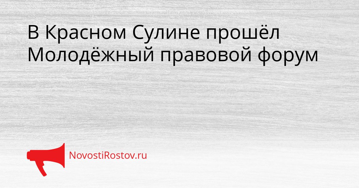 В Красном Сулине прошёл Молодёжный правовой форум Сгенерировано