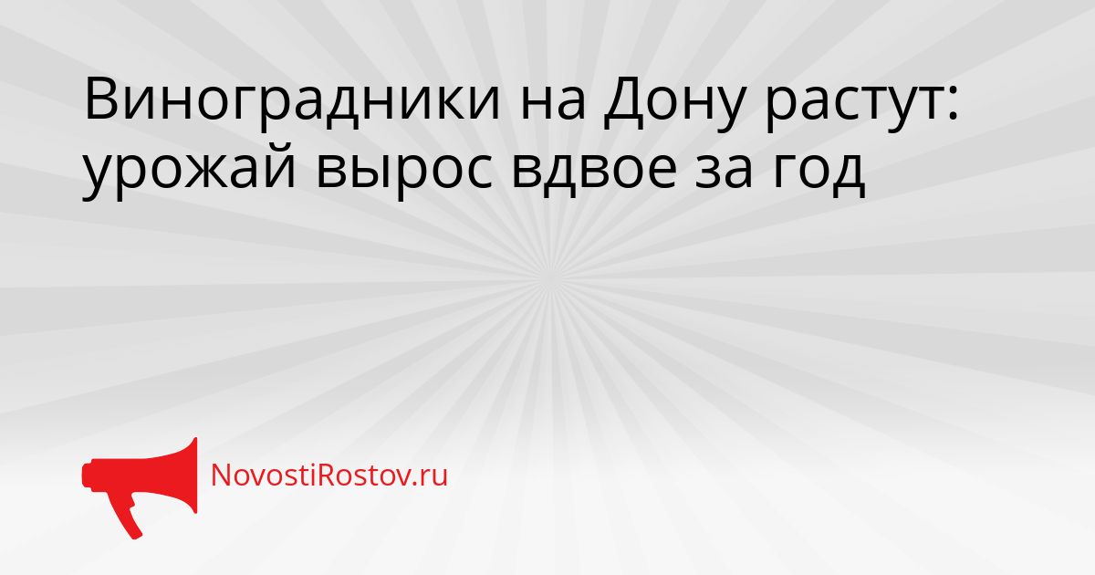 Виноградники на Дону растут: урожай вырос вдвое за год Сгенерировано