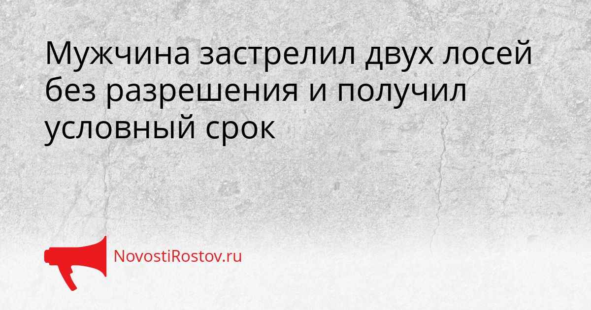 Мужчина застрелил двух лосей без разрешения и получил условный срок Сгенерировано
