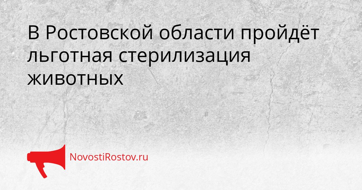 В Ростовской области пройдёт льготная стерилизация животных Сгенерировано