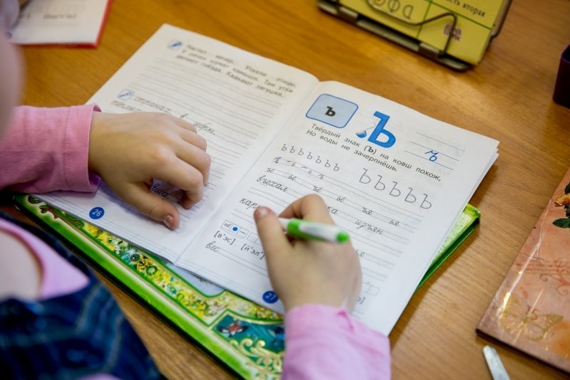 На Дону внедряют новую систему тестирования по русскому языку для детей мигрантов Александр Ратников