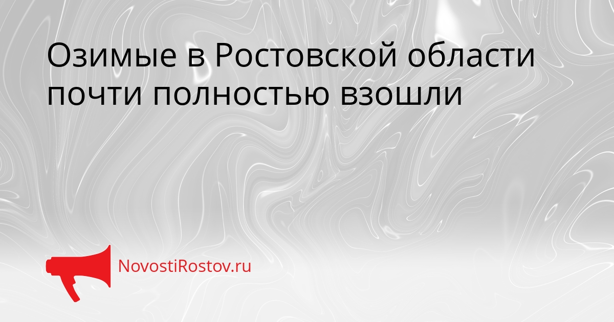 Озимые в Ростовской области почти полностью взошли Сгенерировано