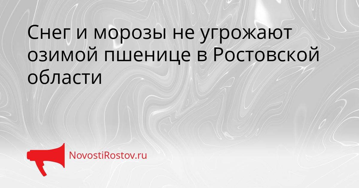 Снег и морозы не угрожают озимой пшенице в Ростовской области Сгенерировано